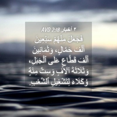 Picture 04 - ٢ أخبار 2:18 AVD - فَجَعَلَ مِنْهُمْ - Bible Verse Picture