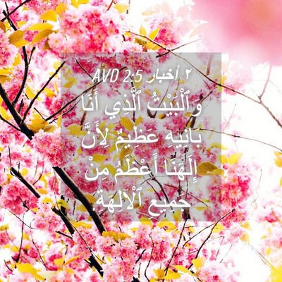 Picture 04 - ٢ أخبار 2:5 AVD - وَٱلْبَيْتُ ٱلَّذِي أَنَا - Bible Verse Picture