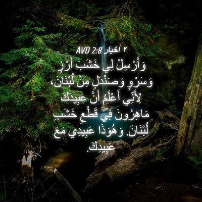 Picture 04 - ٢ أخبار 2:8 AVD - وَأَرْسِلْ لِي خَشَبَ - Bible Verse Picture