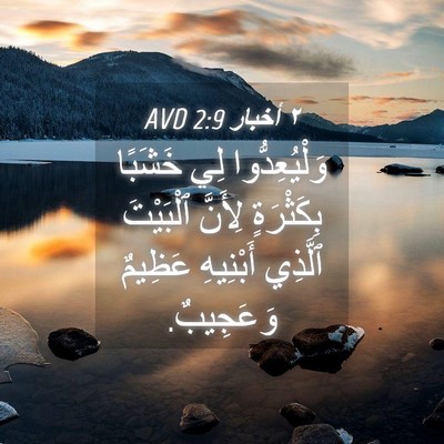 Picture 04 - ٢ أخبار 2:9 AVD - وَلْيُعِدُّوا لِي خَشَبًا - Bible Verse Picture