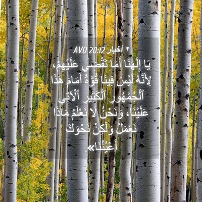 Picture 04 - ٢ أخبار 20:12 AVD - يَا إِلَهَنَا أَمَا - Bible Verse Picture