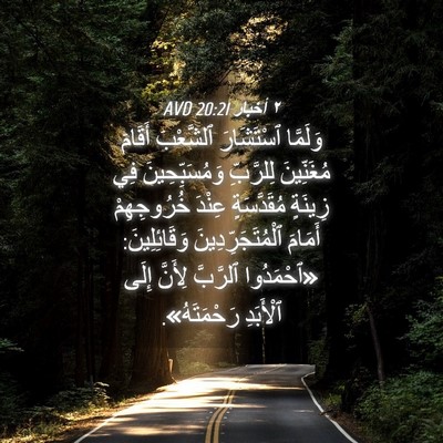 Picture 04 - ٢ أخبار 20:21 AVD - وَلَمَّا ٱسْتَشَارَ - Bible Verse Picture