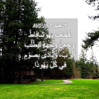 Picture 04 - ٢ أخبار 20:3 AVD - فَخَافَ يَهُوشَافَاطُ - Bible Verse Picture