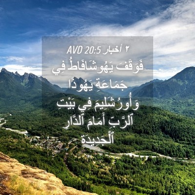 Picture 04 - ٢ أخبار 20:5 AVD - فَوَقَفَ يَهُوشَافَاطُ - Bible Verse Picture