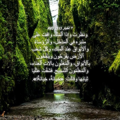 Picture 04 - ٢ أخبار 23:13 AVD - وَنَظَرَتْ وَإِذَا - Bible Verse Picture