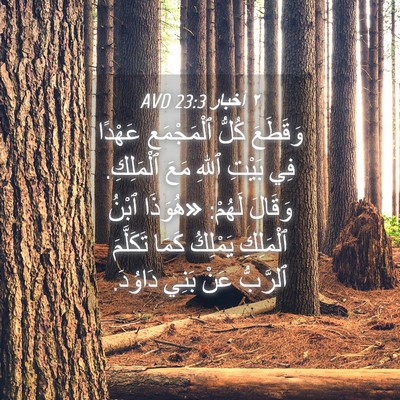 Picture 04 - ٢ أخبار 23:3 AVD - وَقَطَعَ كُلُّ - Bible Verse Picture