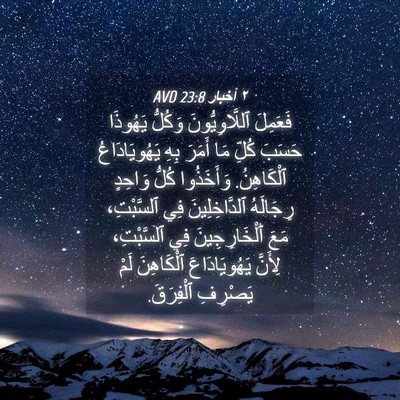Picture 04 - ٢ أخبار 23:8 AVD - فَعَمِلَ ٱللَّاوِيُّونَ - Bible Verse Picture