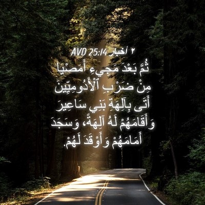 Picture 04 - ٢ أخبار 25:14 AVD - ثُمَّ بَعْدَ مَجِيءِ - Bible Verse Picture