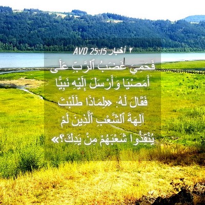 Picture 04 - ٢ أخبار 25:15 AVD - فَحَمِيَ غَضَبُ ٱلرَّبِّ - Bible Verse Picture