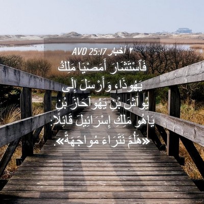 Picture 04 - ٢ أخبار 25:17 AVD - فَٱسْتَشَارَ أَمَصْيَا - Bible Verse Picture
