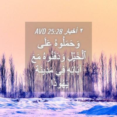 Picture 04 - ٢ أخبار 25:28 AVD - وَحَمَلُوهُ عَلَى - Bible Verse Picture