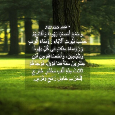 Picture 04 - ٢ أخبار 25:5 AVD - وَجَمَعَ أَمَصْيَا - Bible Verse Picture