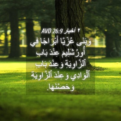 Picture 04 - ٢ أخبار 26:9 AVD - وَبَنَى عُزِّيَّا - Bible Verse Picture