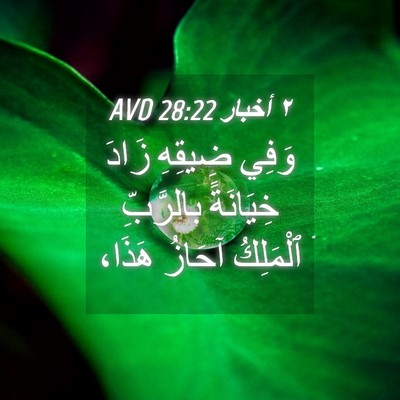 Picture 04 - ٢ أخبار 28:22 AVD - وَفِي ضِيقِهِ زَادَ - Bible Verse Picture