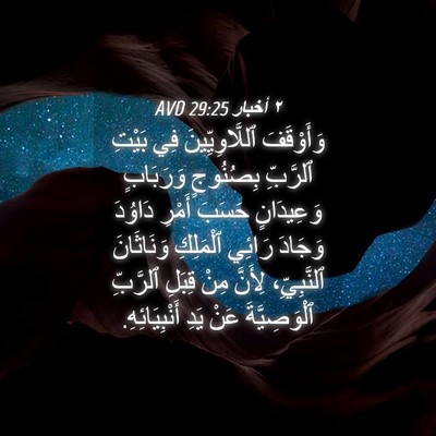 Picture 04 - ٢ أخبار 29:25 AVD - وَأَوْقَفَ ٱللَّاوِيِّينَ - Bible Verse Picture
