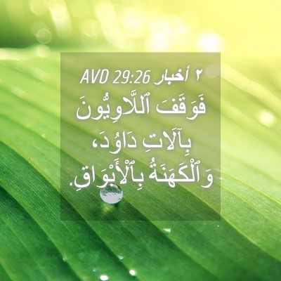 Picture 04 - ٢ أخبار 29:26 AVD - فَوَقَفَ ٱللَّاوِيُّونَ - Bible Verse Picture