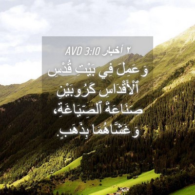 Picture 04 - ٢ أخبار 3:10 AVD - وَعَمِلَ فِي بَيْتِ قُدْسِ - Bible Verse Picture