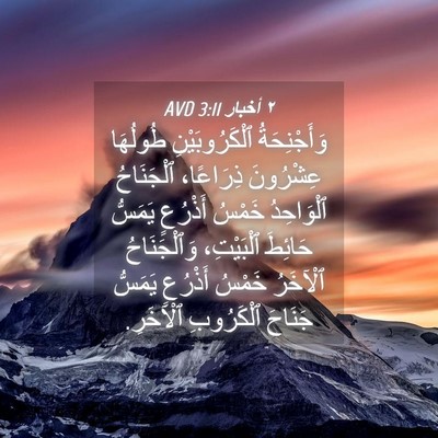Picture 04 - ٢ أخبار 3:11 AVD - وَأَجْنِحَةُ - Bible Verse Picture