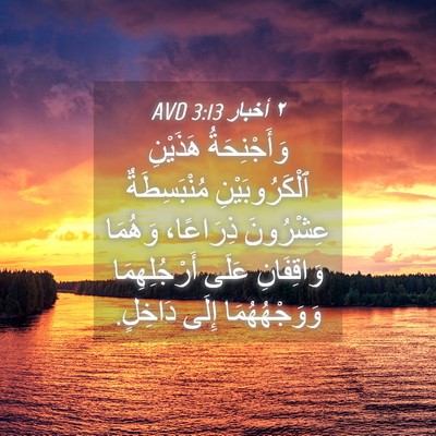 Picture 04 - ٢ أخبار 3:13 AVD - وَأَجْنِحَةُ هَذَيْنِ - Bible Verse Picture
