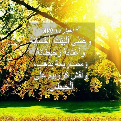 Picture 04 - ٢ أخبار 3:7 AVD - وَغَشَّى ٱلْبَيْتَ: - Bible Verse Picture