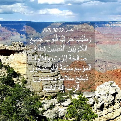 Picture 04 - ٢ أخبار 30:22 AVD - وَطَيَّبَ حَزَقِيَّا - Bible Verse Picture