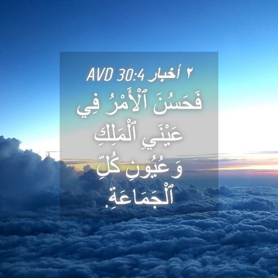 Picture 04 - ٢ أخبار 30:4 AVD - فَحَسُنَ ٱلْأَمْرُ فِي - Bible Verse Picture