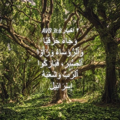 Picture 04 - ٢ أخبار 31:8 AVD - وَجَاءَ حَزَقِيَّا - Bible Verse Picture