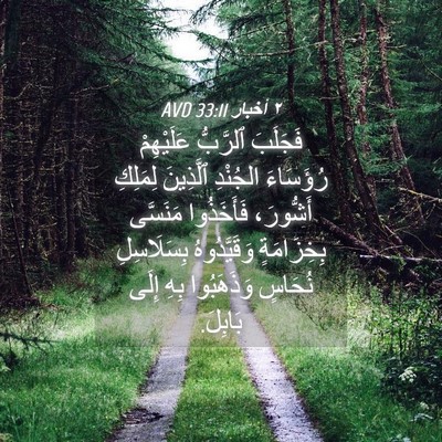 Picture 04 - ٢ أخبار 33:11 AVD - فَجَلَبَ ٱلرَّبُّ - Bible Verse Picture