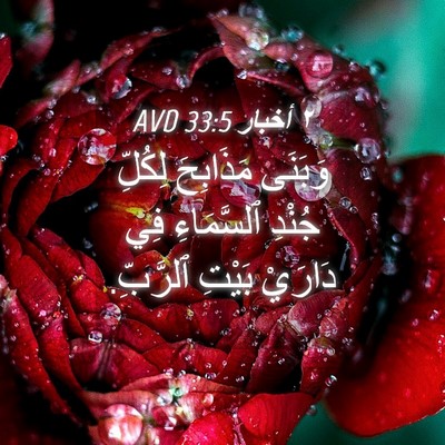 Picture 04 - ٢ أخبار 33:5 AVD - وَبَنَى مَذَابِحَ لِكُلِّ - Bible Verse Picture