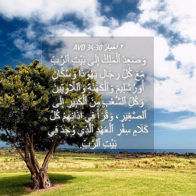 Picture 04 - ٢ أخبار 34:30 AVD - وَصَعِدَ ٱلْمَلِكُ إِلَى - Bible Verse Picture