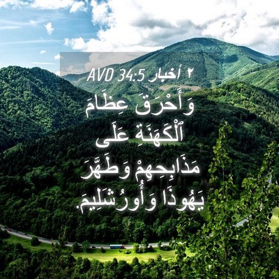 Picture 04 - ٢ أخبار 34:5 AVD - وَأَحْرَقَ عِظَامَ - Bible Verse Picture