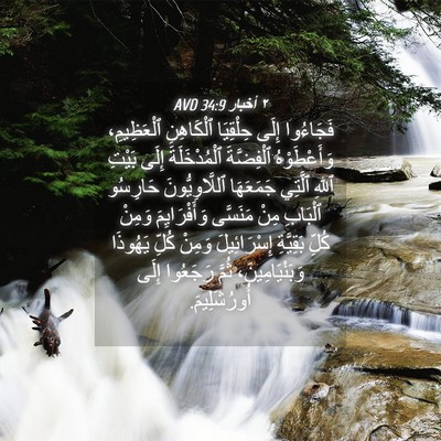 Picture 04 - ٢ أخبار 34:9 AVD - فَجَاءُوا إِلَى حِلْقِيَا - Bible Verse Picture