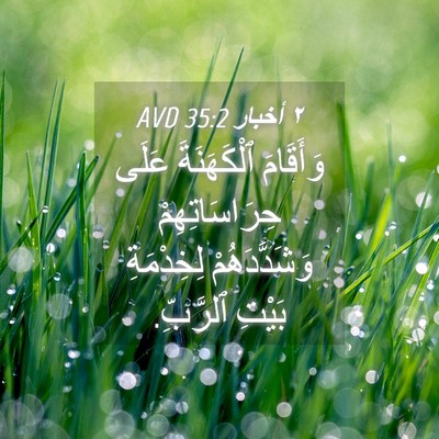 Picture 04 - ٢ أخبار 35:2 AVD - وَأَقَامَ ٱلْكَهَنَةَ - Bible Verse Picture