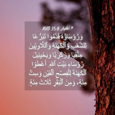 Picture 04 - ٢ أخبار 35:8 AVD - وَرُؤَسَاؤُهُ قَدَّمُوا - Bible Verse Picture
