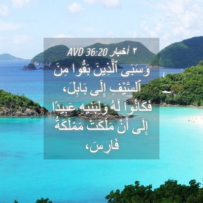 Picture 04 - ٢ أخبار 36:20 AVD - وَسَبَى ٱلَّذِينَ بَقُوا - Bible Verse Picture