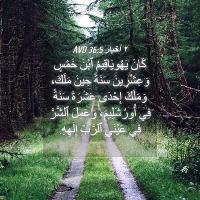 Picture 04 - ٢ أخبار 36:5 AVD - كَانَ يَهُويَاقِيمُ ٱبْنَ - Bible Verse Picture