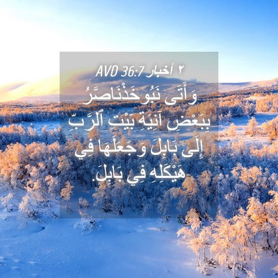 Picture 04 - ٢ أخبار 36:7 AVD - وَأَتَى نَبُوخَذْنَاصَّرُ - Bible Verse Picture