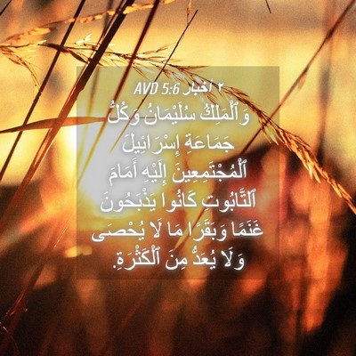 Picture 04 - ٢ أخبار 5:6 AVD - وَٱلْمَلِكُ سُلَيْمَانُ - Bible Verse Picture