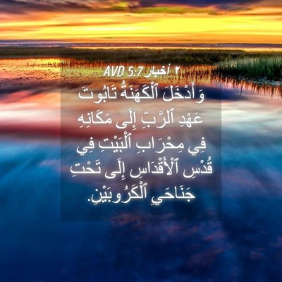 Picture 04 - ٢ أخبار 5:7 AVD - وَأَدْخَلَ ٱلْكَهَنَةُ - Bible Verse Picture