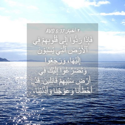 Picture 04 - ٢ أخبار 6:37 AVD - فَإِذَا رَدُّوا إِلَى - Bible Verse Picture