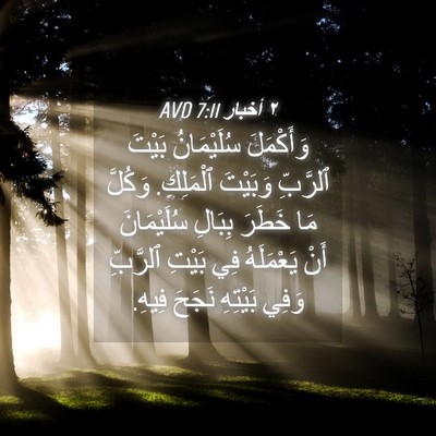 Picture 04 - ٢ أخبار 7:11 AVD - وَأَكْمَلَ سُلَيْمَانُ - Bible Verse Picture