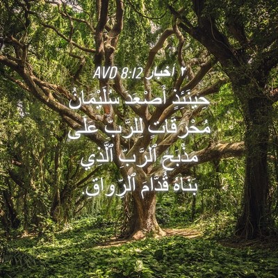 Picture 04 - ٢ أخبار 8:12 AVD - حِينَئِذٍ أَصْعَدَ - Bible Verse Picture