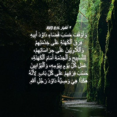 Picture 04 - ٢ أخبار 8:14 AVD - وَأَوْقَفَ حَسَبَ قَضَاءِ - Bible Verse Picture