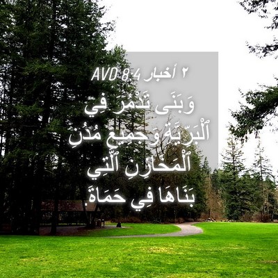 Picture 04 - ٢ أخبار 8:4 AVD - وَبَنَى تَدْمُرَ فِي - Bible Verse Picture