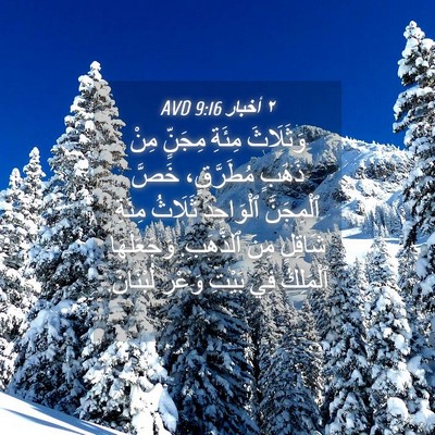 Picture 04 - ٢ أخبار 9:16 AVD - وَثَلَاثَ مِئَةِ مِجَنٍّ - Bible Verse Picture