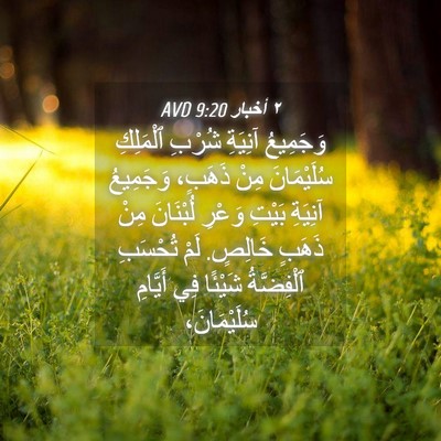 Picture 04 - ٢ أخبار 9:20 AVD - وَجَمِيعُ آنِيَةِ شُرْبِ - Bible Verse Picture