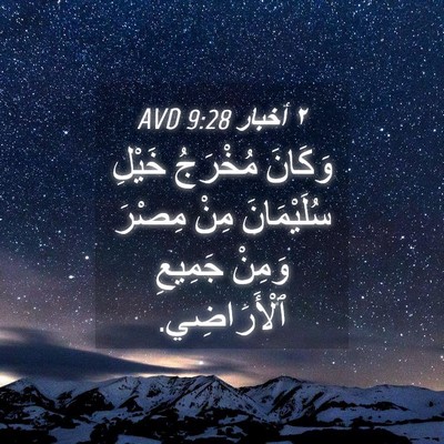 Picture 04 - ٢ أخبار 9:28 AVD - وَكَانَ مُخْرَجُ خَيْلِ - Bible Verse Picture