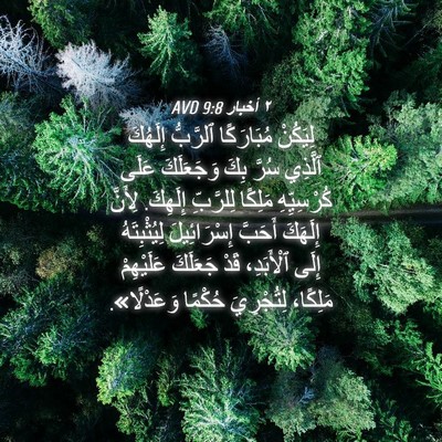 Picture 04 - ٢ أخبار 9:8 AVD - لِيَكُنْ مُبَارَكًا - Bible Verse Picture