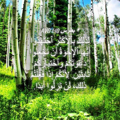 Picture 04 - ٢ بطرس 1:10 AVD - لِذَلِكَ بِٱلْأَكْثَرِ - Bible Verse Picture