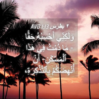 Picture 04 - ٢ بطرس 1:13 AVD - وَلَكِنِّي أَحْسِبُهُ - Bible Verse Picture